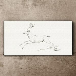 Tablou canvas Desen animale cerb