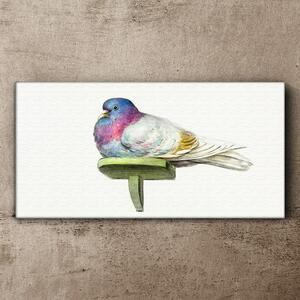 Tablou canvas Animal Pasăre Porumbel