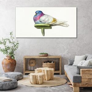 Tablou canvas Animal Pasăre Porumbel