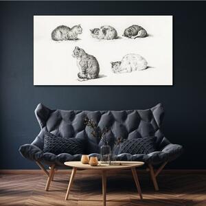 Tablou canvas Desen Animale Pisici