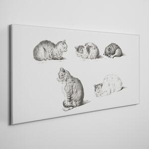 Tablou canvas Desen Animale Pisici