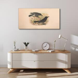 Tablou canvas Păsări Animale Desen