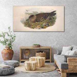 Tablou canvas Păsări Animale Bej