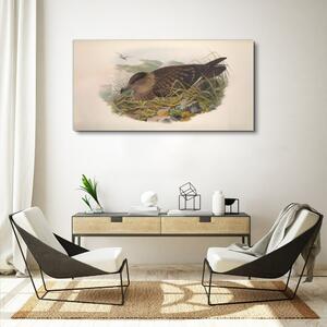 Tablou canvas Păsări Animale Bej