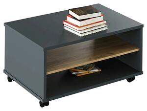 Masuta cafea RIOMA NEW TYP 32, gri grafit/stejar artisan, DTD laminat