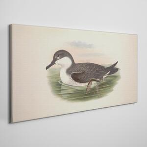 Tablou canvas Păsări Animale sălbatice