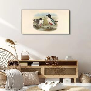 Tablou canvas Păsări Animale sălbatice