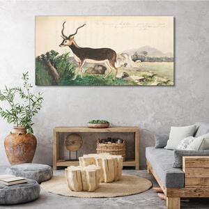 Tablou canvas Desen gazele de animale