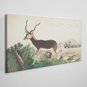 Tablou canvas Desen gazele de animale