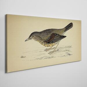 Tablou canvas desen de pasăre