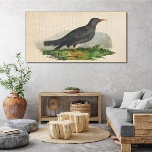 Tablou canvas Păsări Animale