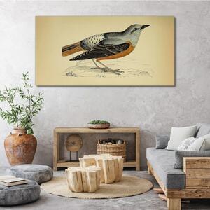 Tablou canvas desen de pasăre