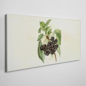 Tablou canvas Frunze De Struguri Ramuri