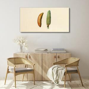 Tablou canvas Fructe moderne
