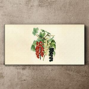 Tablou canvas frunze de ramuri de fructe