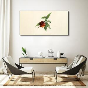 Tablou canvas frunze de ramuri de fructe