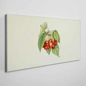 Tablou canvas fructe cireșe ramuri frunze