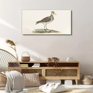 Tablou canvas Pasăre animală modernă