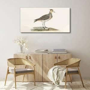 Tablou canvas Pasăre animală modernă