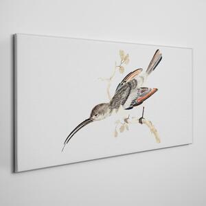Tablou canvas Desen Animal Bird Branch
