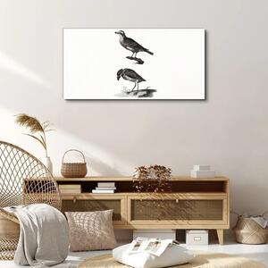 Tablou canvas Desen animale Păsări