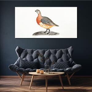 Tablou canvas Desen pasăre animală