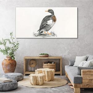 Tablou canvas Desen Animal Pasăre Rață