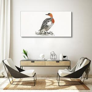 Tablou canvas Desen Animal Pasăre Rață