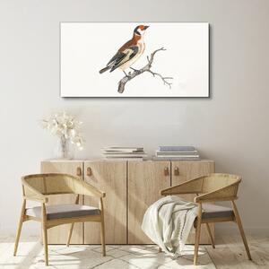 Tablou canvas Desenând ramură de pasăre animală
