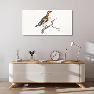 Tablou canvas Desenând ramură de pasăre animală