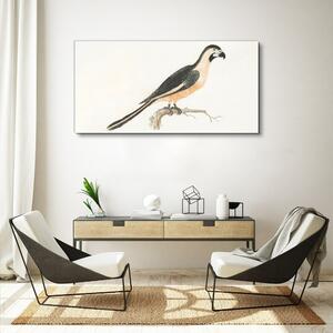 Tablou canvas Desen ramură pasăre animală