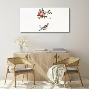 Tablou canvas Animal Pasăre Ramă de flori