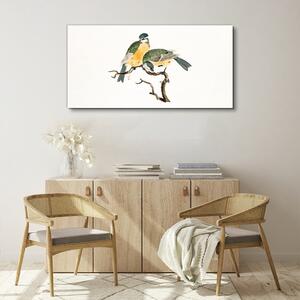 Tablou canvas Desen animale Păsări