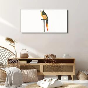 Tablou canvas Desen Animal Pasăre Papagal