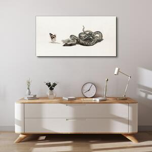 Tablou canvas Desen animal șarpe fluture