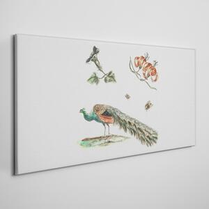 Tablou canvas Desen flori de păsări animale