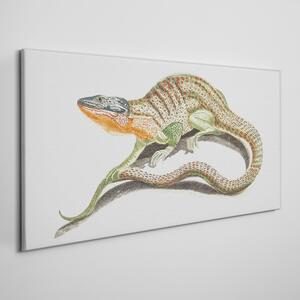 Tablou canvas Animal șopârlă