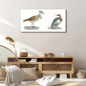 Tablou canvas Animale Păsări