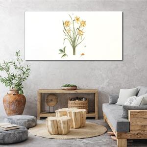 Tablou canvas Flori Plante