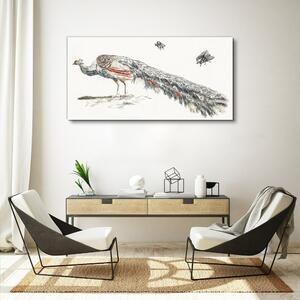 Tablou canvas Animal Pasăre Păun Muște