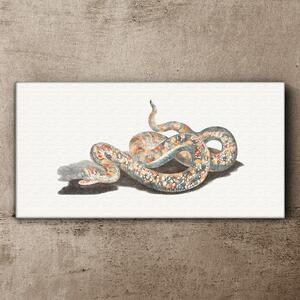 Tablou canvas Șarpe Animal