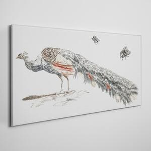 Tablou canvas Animal Pasăre Păun Muște