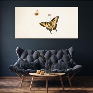 Tablou canvas Bug-Insectă Fluture Modern