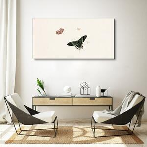 Tablou canvas Bug-Insectă Fluture Modern