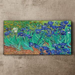 Tablou canvas Iris Van Gogh