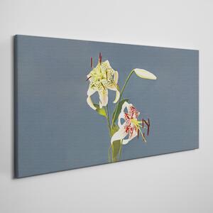 Tablou canvas Plante de flori moderne