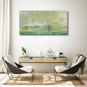 Tablou canvas Monede moderne Willows