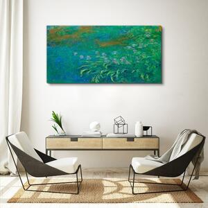 Tablou canvas irisii lui Monet