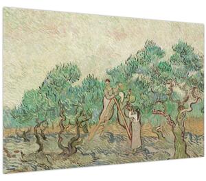 Tablou - Vincent van Gogh, The Olive Orchard, reproducere (90x60 cm)