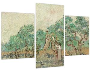 Tablou - Vincent van Gogh, The Olive Orchard, reproducere (90x60 cm)